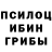 Псилоцибиновые грибы прущие грибы Miguel Aponte
