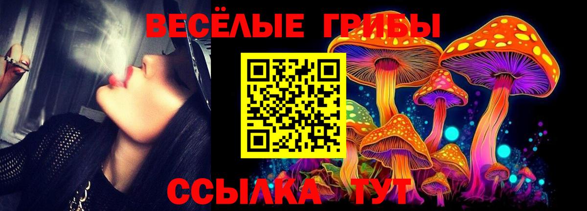 Псилоцибиновые грибы Magic Shrooms Ростов-на-Дону