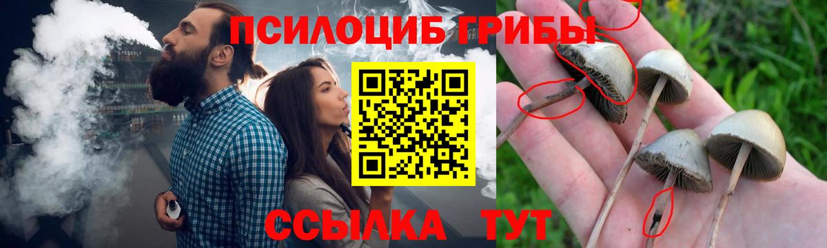 Галлюциногенные грибы мицелий  наркотики  Ростов-на-Дону  Вход с VPN 